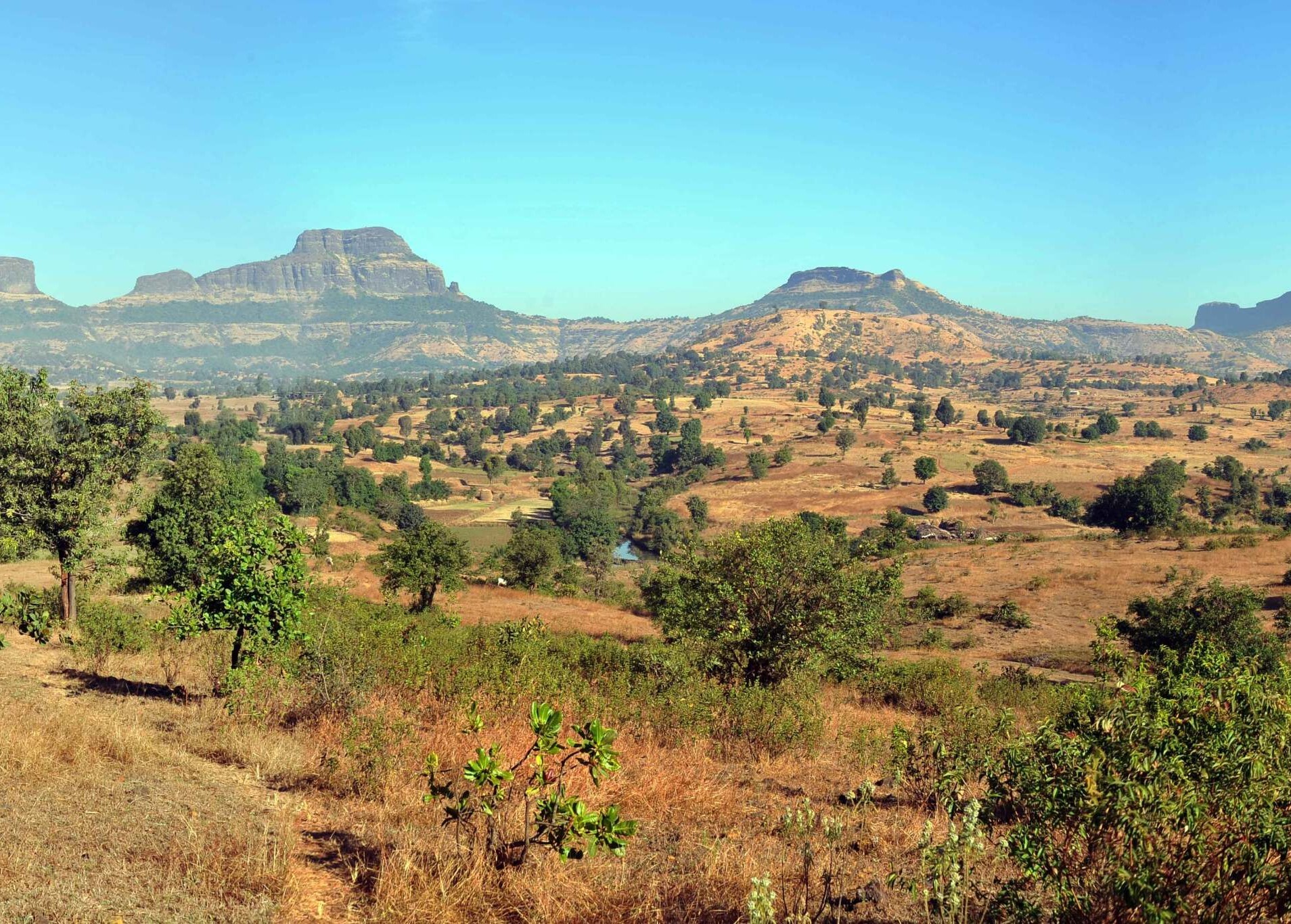 Subhadra Tranquil- River Touch Farm Plots Plot Sizes from 1200 Sqft ,